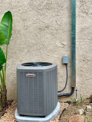 WhatsApp Image 2024-04-18 at 7.41.18 p. m. (2)